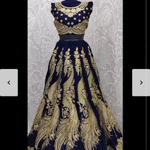 Bridal Lehenga / Party wear